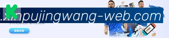 企业概况