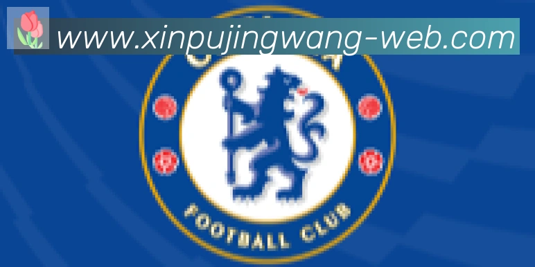 新葡京娱乐网合作伙伴